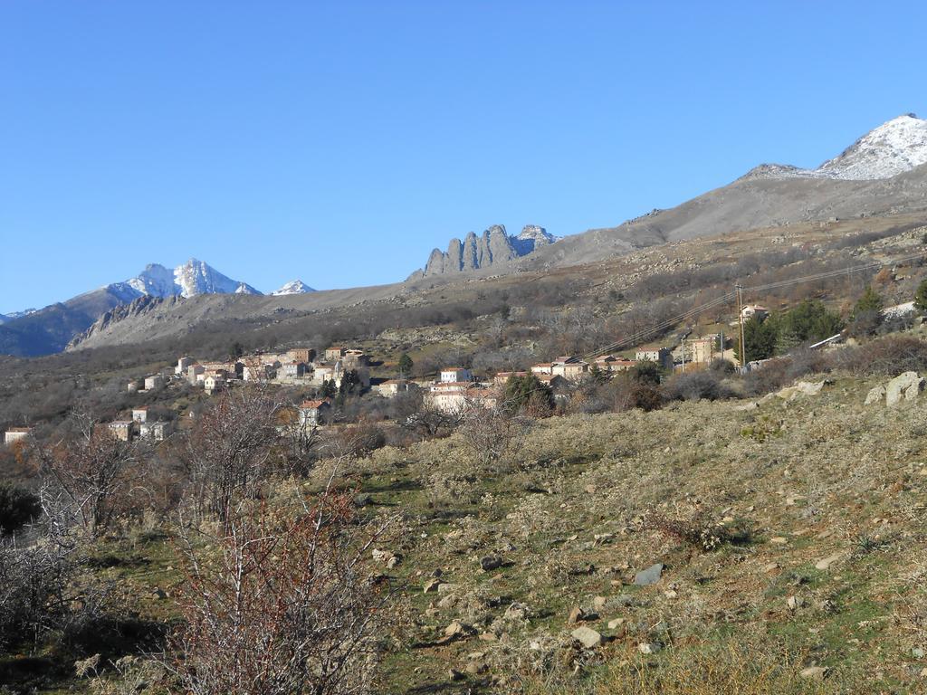 Vila Les Chalets De Lozzi Calacuccia Exteriér fotografie