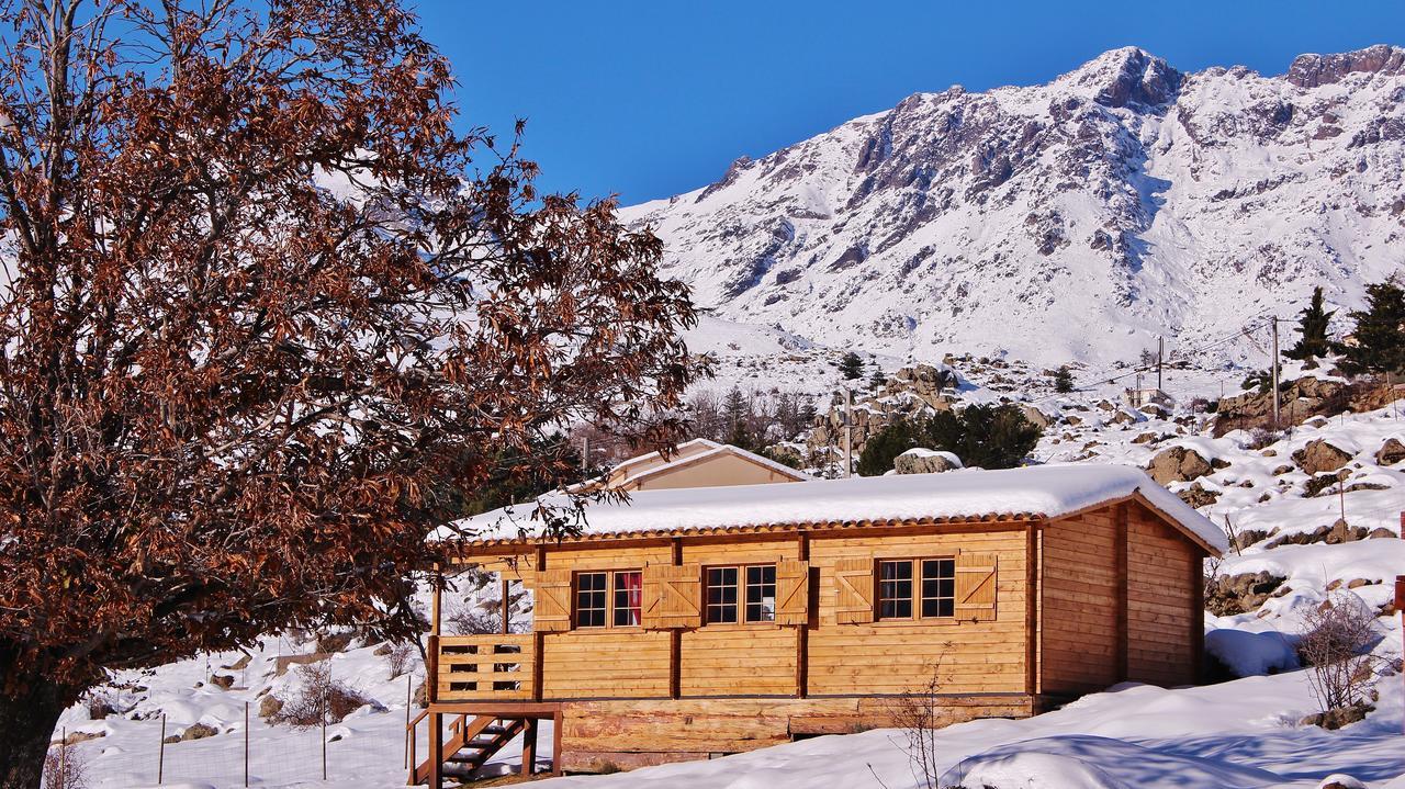 Vila Les Chalets De Lozzi Calacuccia Exteriér fotografie