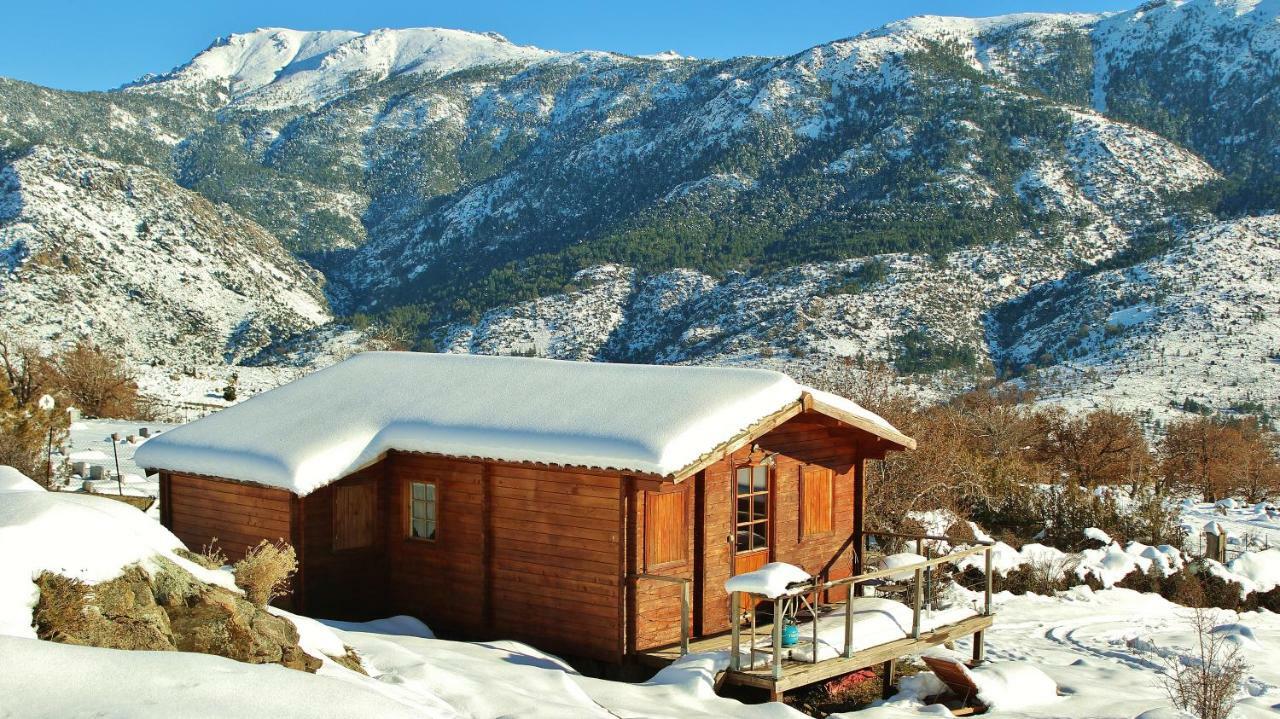 Vila Les Chalets De Lozzi Calacuccia Exteriér fotografie